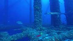 241026_MP281_175-Horizontal-2
