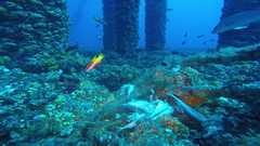 241026_MP281_175-Horizontal-3