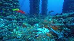 241026_MP281_175-Horizontal-4
