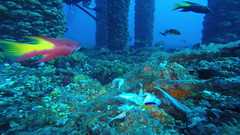 241026_MP281_175-Horizontal-5