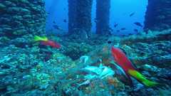 241026_MP281_175-Horizontal-6