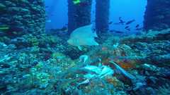 241026_MP281_175-Horizontal-7