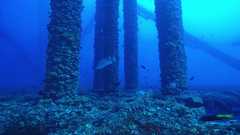 241026_MP281_175-Horizontal