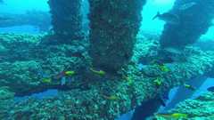 241026_MP281_60-Horizontal-1