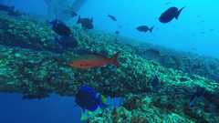 241026_MP281_60-Horizontal-2