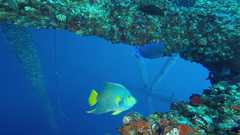 241026_MP281_60-Horizontal-3