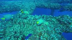 241026_MP281_60-Horizontal-5