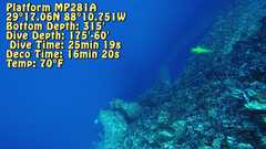 241026_MP281_Info