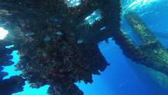 241026_MP281_Sargent_Majors