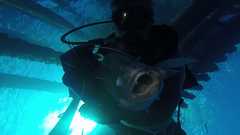 241026_MP281_Selfie-Mangrove4