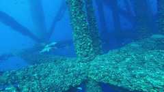 241026_MP283_60-Horiz-11