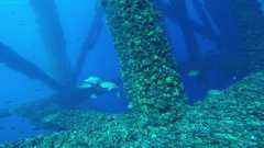241026_MP283_60-Horiz-12-Mangroves