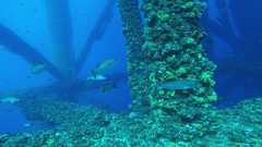241026_MP283_60-Horiz-13