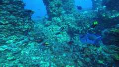 241026_MP283_60-Horiz-6