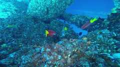 241026_MP283_Cubans_Angel