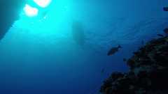 241026_MP283_Looking_Up-Boat_PrimoFish2