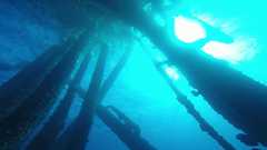 241026_MP283_Looking_Up