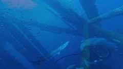 241026_MP283_Selfie-2