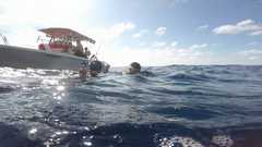 241026_MP283_Snorkeling-Patricia-Omar3-Boat