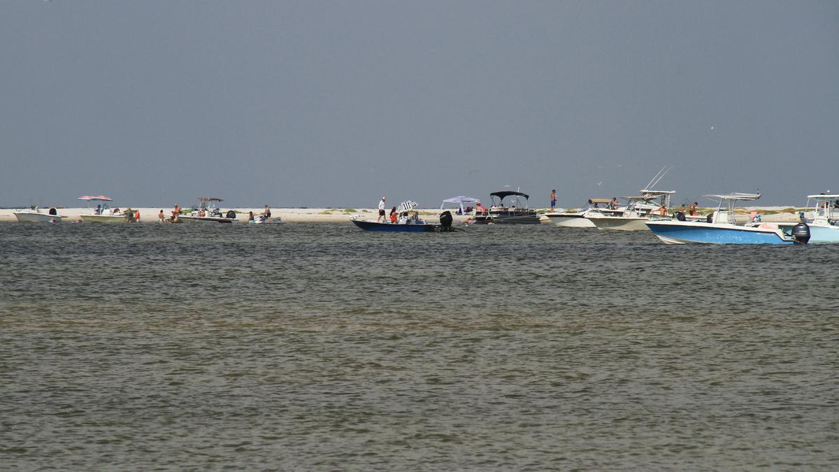 IMG_3604